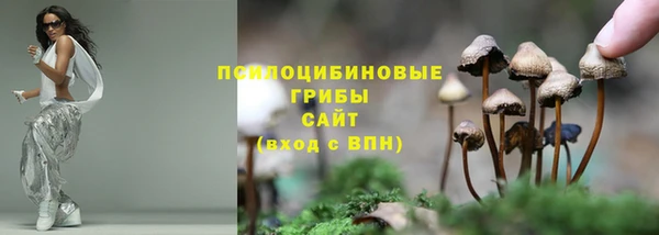 молекула духа Алексин