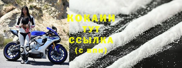 тгк Абаза