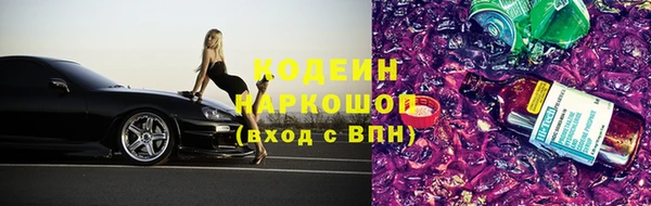 тгк Абаза
