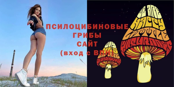 мяу мяу мука Абинск