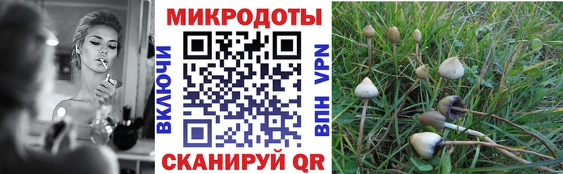 как найти   Железноводск  Псилоцибиновые грибы Magic Shrooms 